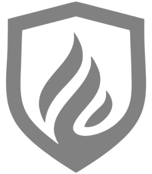 A gray shield with a stylized flame design in the center, symbolizing protection and energy in a minimalist style.